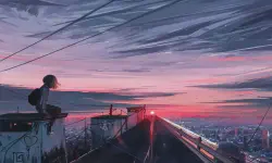 Featured image of post 日常图片