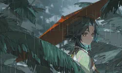 Featured image of post 软件资讯
