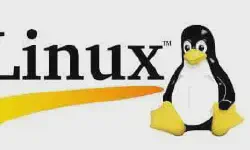 Featured image of post linux资源和技术
