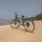 改装电动自行车骑出去欣赏沿途风景
