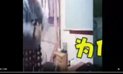 Featured image of post 视频托管方法