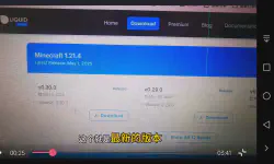 Featured image of post 我的世界liquidbounce水影客户端的下载教程和过程